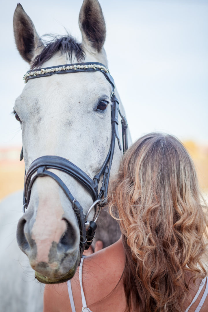 Denver Equestrian Photographer